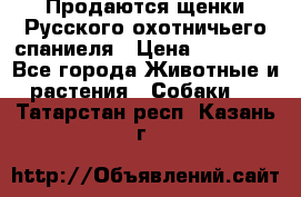 Продаются щенки Русского охотничьего спаниеля › Цена ­ 25 000 - Все города Животные и растения » Собаки   . Татарстан респ.,Казань г.